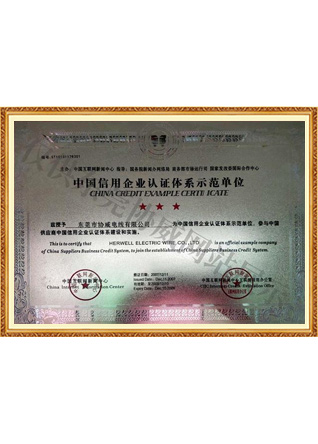 中國信用企業認證體系示范單位